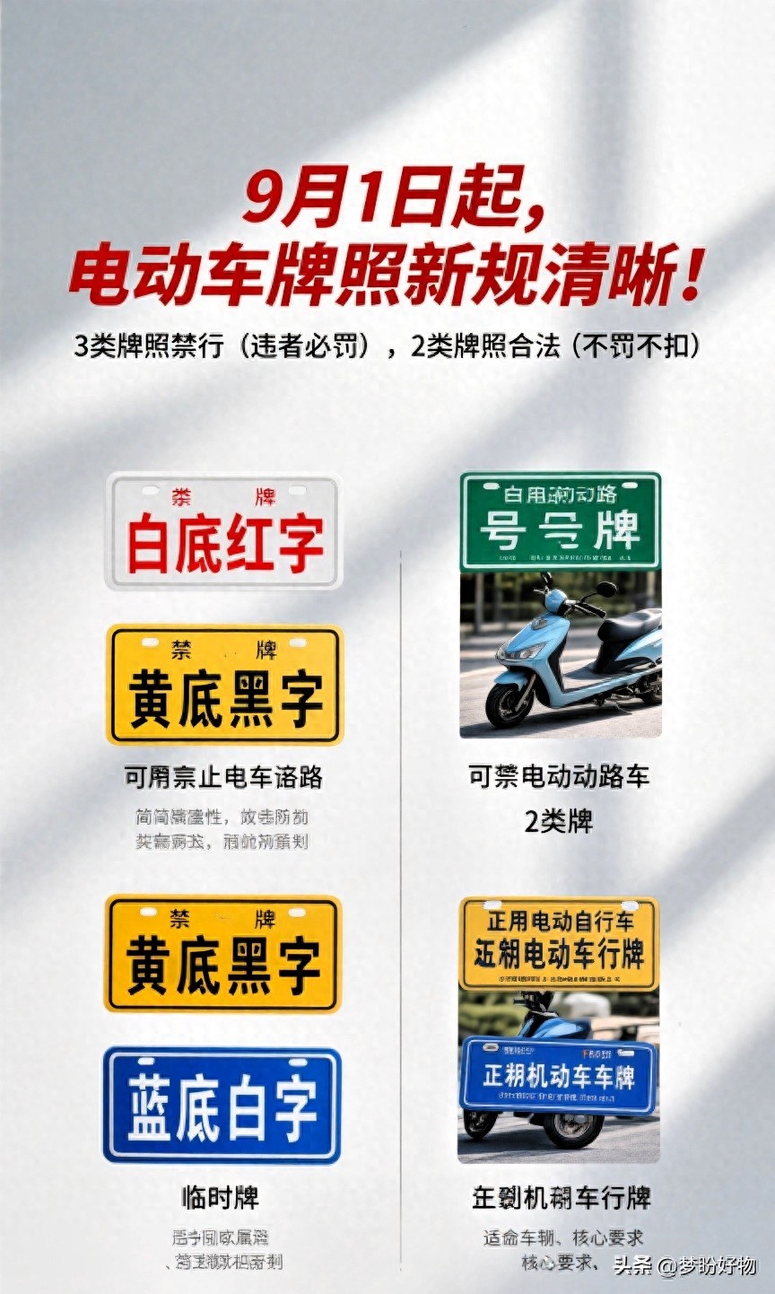 非標(biāo)牌照禁行處罰_電動(dòng)車(chē)牌照新規(guī)2025_限行