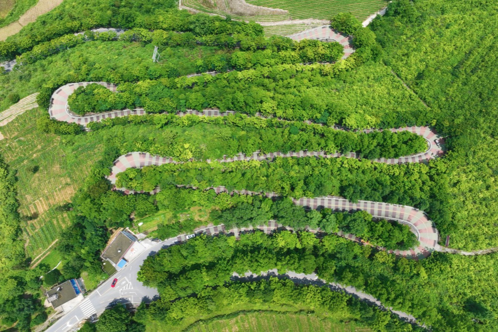 出行提示_農(nóng)村道路交通安全提示_駕駛?cè)顺鲂邪踩?/></p></div>
    <div   id="k43ox56"   class="clearfix"></div>
        <h5 class="post-tags"><span id="k43ox56"    class="glyphicon glyphicon-tags"></span> <a href="http://m.blog009.com/tags-7357.html" title="農(nóng)村交通安全">農(nóng)村交通安全</a><a href="http://m.blog009.com/tags-2648.html" title="交通安全提示">交通安全提示</a><a href="http://m.blog009.com/tags-8805.html" title="駕駛?cè)税踩?>駕駛?cè)税踩?/a><a href="http://m.blog009.com/tags-6889.html" title="行人安全">行人安全</a><a href="http://m.blog009.com/tags-8806.html" title="黔江交警">黔江交警</a></h5>
        <div   id="k43ox56"   class="alert alert-info p-copyright" role="alert">
        <p> 本站文章除注明轉(zhuǎn)載/出處外，均為本站原創(chuàng)或翻譯。若要轉(zhuǎn)載請務(wù)必注明出處，尊重他人勞動成果共創(chuàng)和諧網(wǎng)絡(luò)環(huán)境。 </p>
        <p> 轉(zhuǎn)載請注明 : 文章轉(zhuǎn)載自 ?<a href="http://m.blog009.com/" rel="bookmark" title="作者：admin"> 途訊交通網(wǎng) </a>?<a href="http://m.blog009.com/txfl-3.html" rel="bookmark" title="網(wǎng)站分類：出行攻略與工具"> 出行攻略與工具 </a> ?<a href="http://m.blog009.com/tx/13597.html" rel="bookmark" title="本文固定鏈接：http://m.blog009.com/tx/13597.html"> 10月16日黔江民警做客欄目解讀農(nóng)村道路交通安全要點 </a> </p>
    </div>
    <div   id="k43ox56"   class="clearfix"></div>
    <ul class="post-share-tools">
        <li><a href="javascript:;" class="share-tools praise" xv=