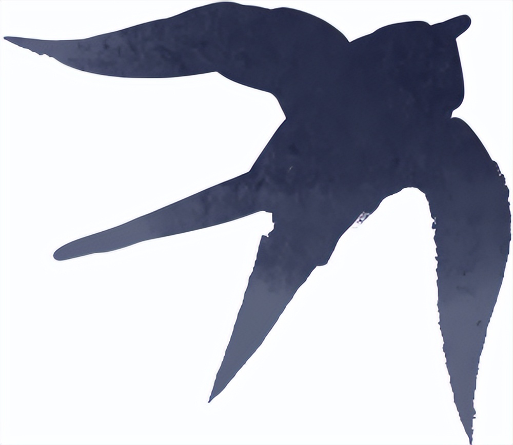 秋季雨霧行車安全_出行提示_雨霧天氣駕駛注意事項